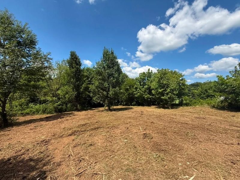 Land Clearing