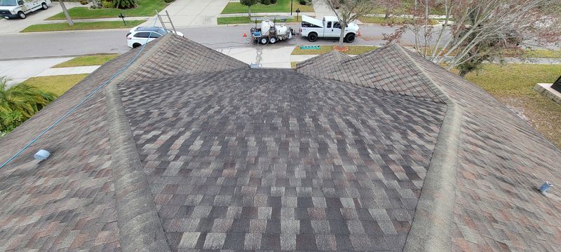 Shingle Roof Cleaning