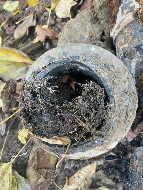 Sewer Line Installation