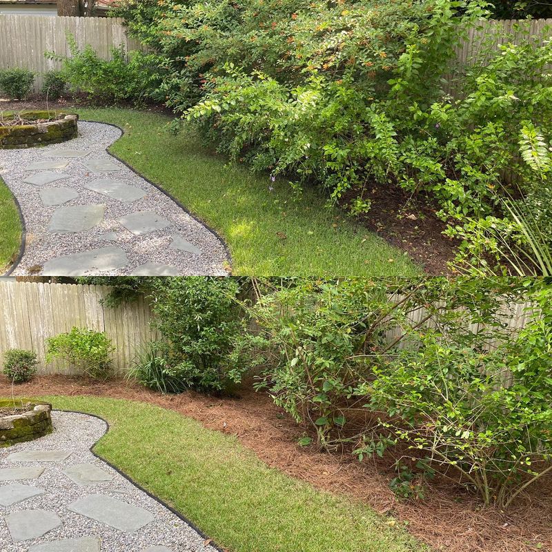 Landscape Cleanup