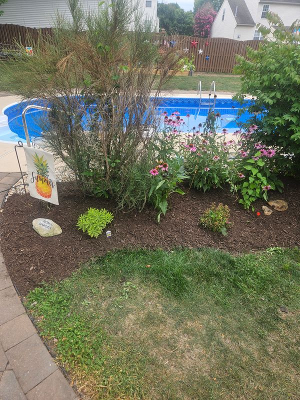 Landscape Design