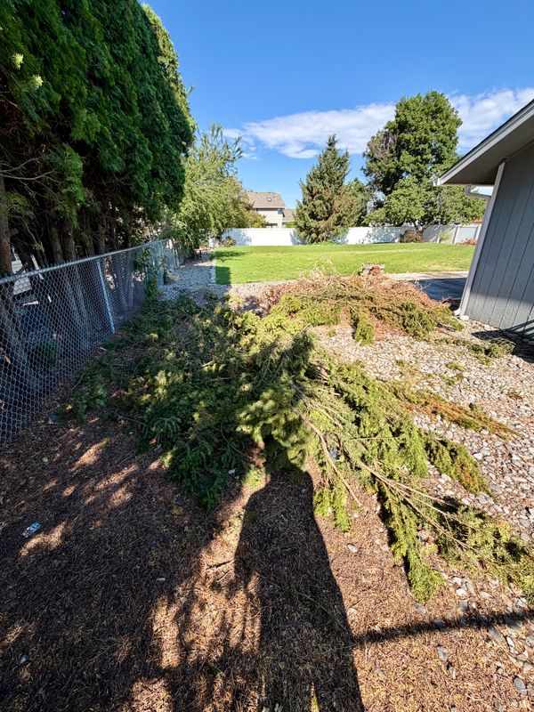 Landscaping & Property Services