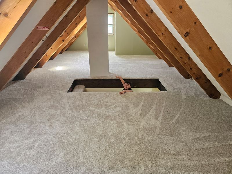 Carpet Installation and Repair