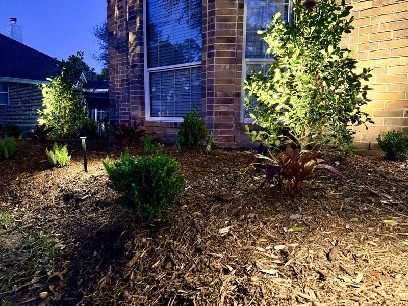 Mulch Installation