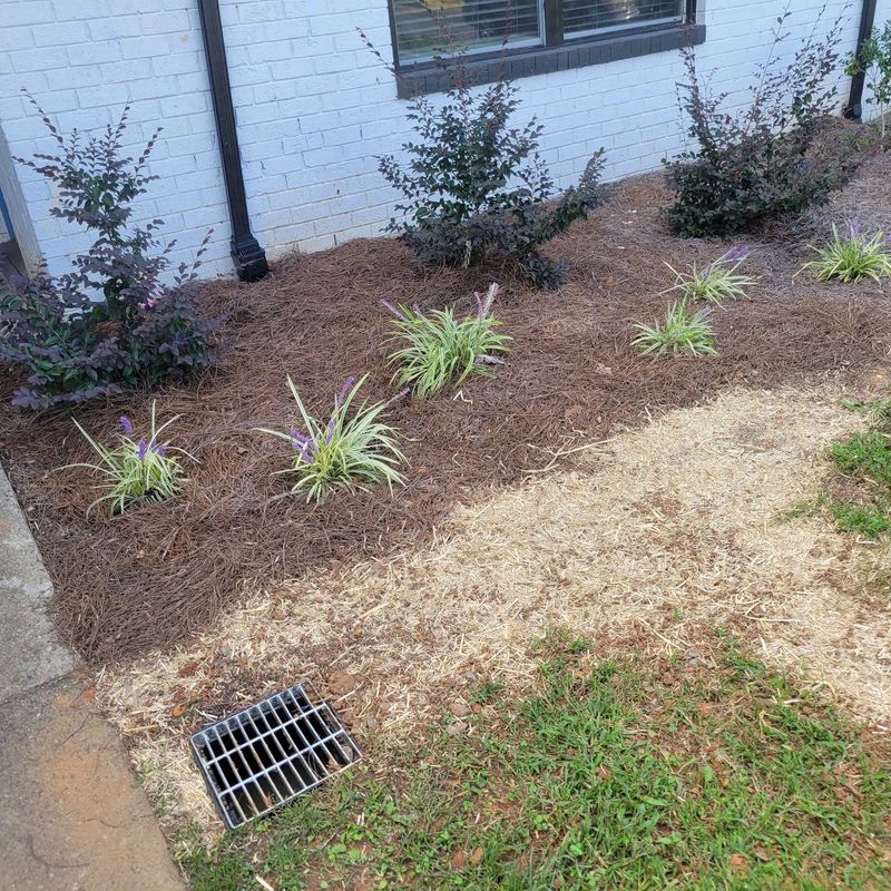 Erosion Control