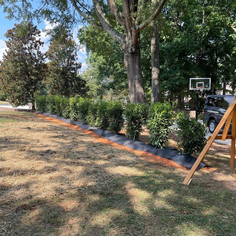 Landscaping