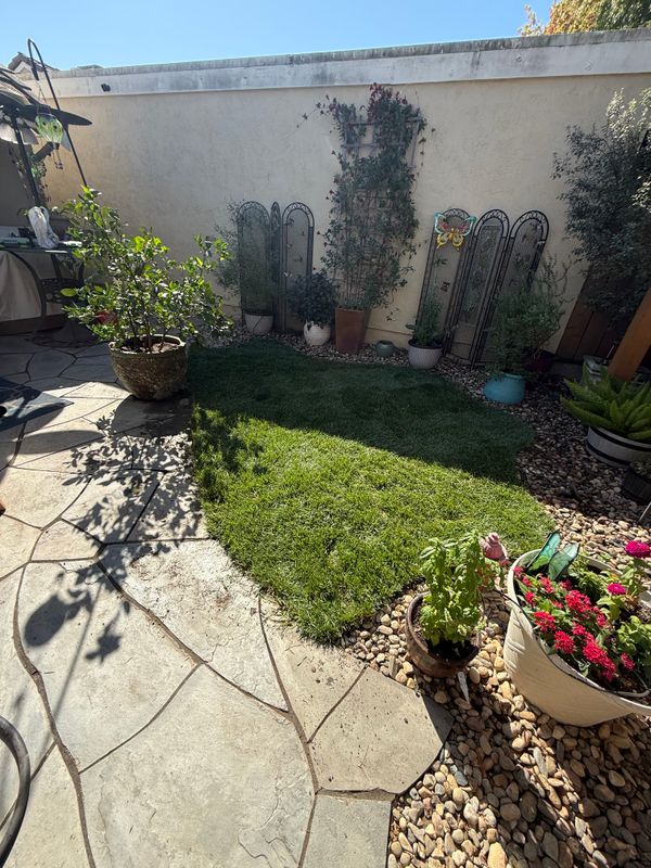 Landscaping
