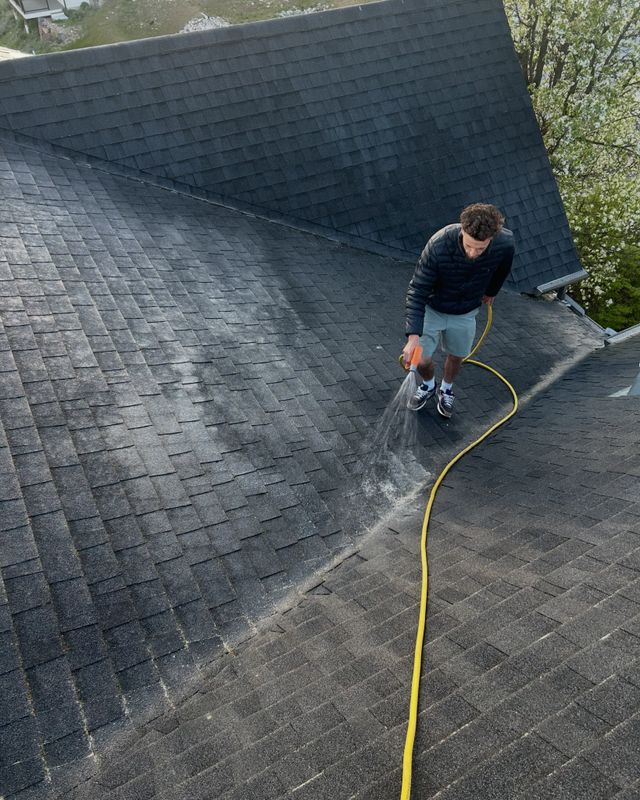 Roof Cleaning