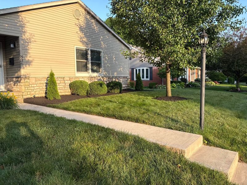Lawn Maintenance