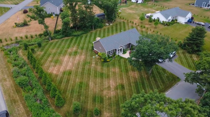Lawn Maintenance
