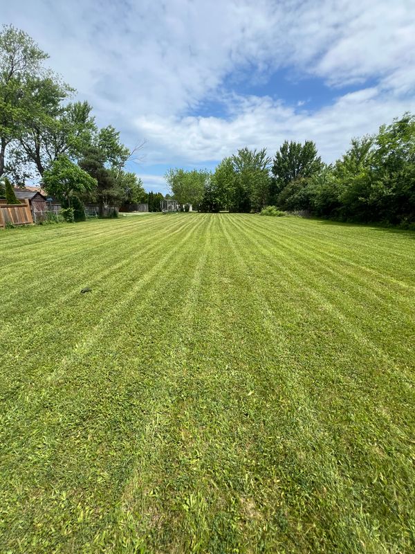 Lawn Care