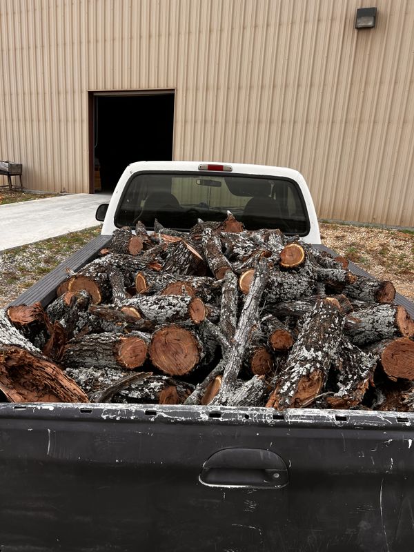 Firewood