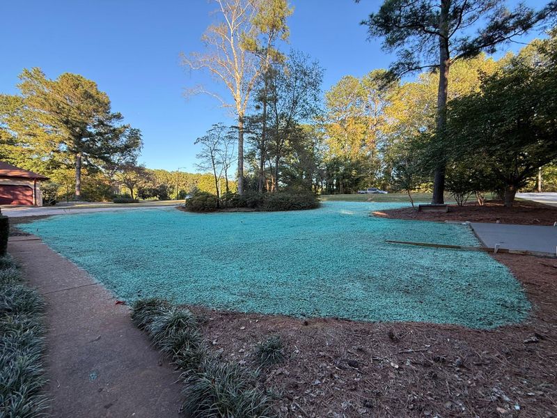 Hydroseeding gallery