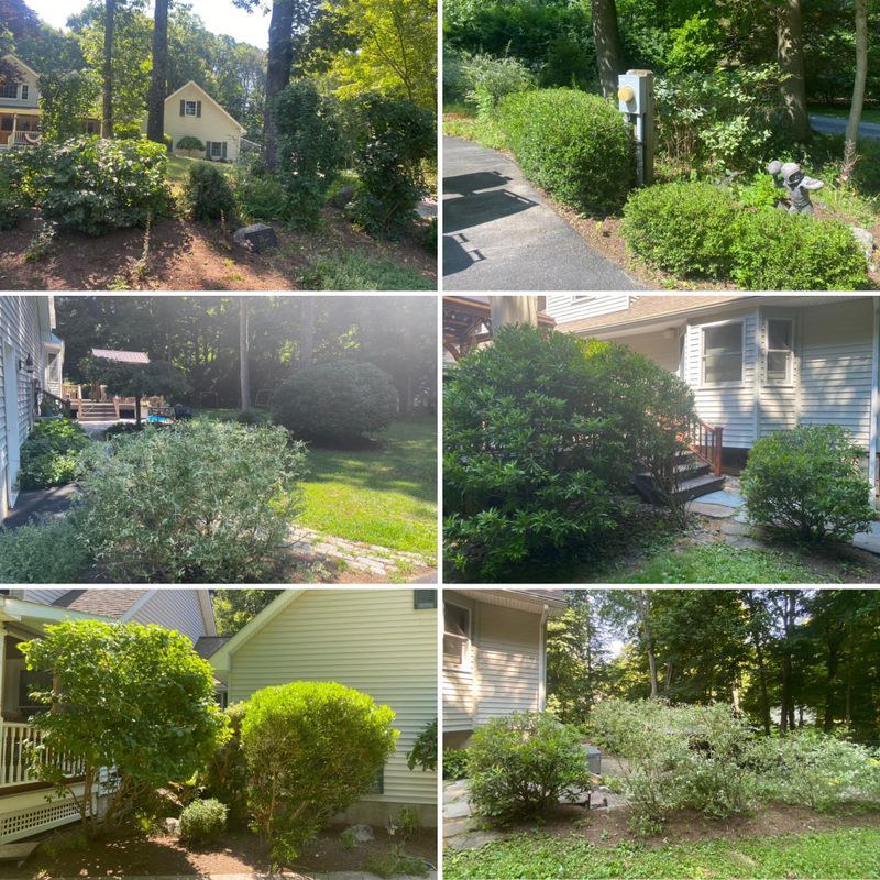 Landscaping