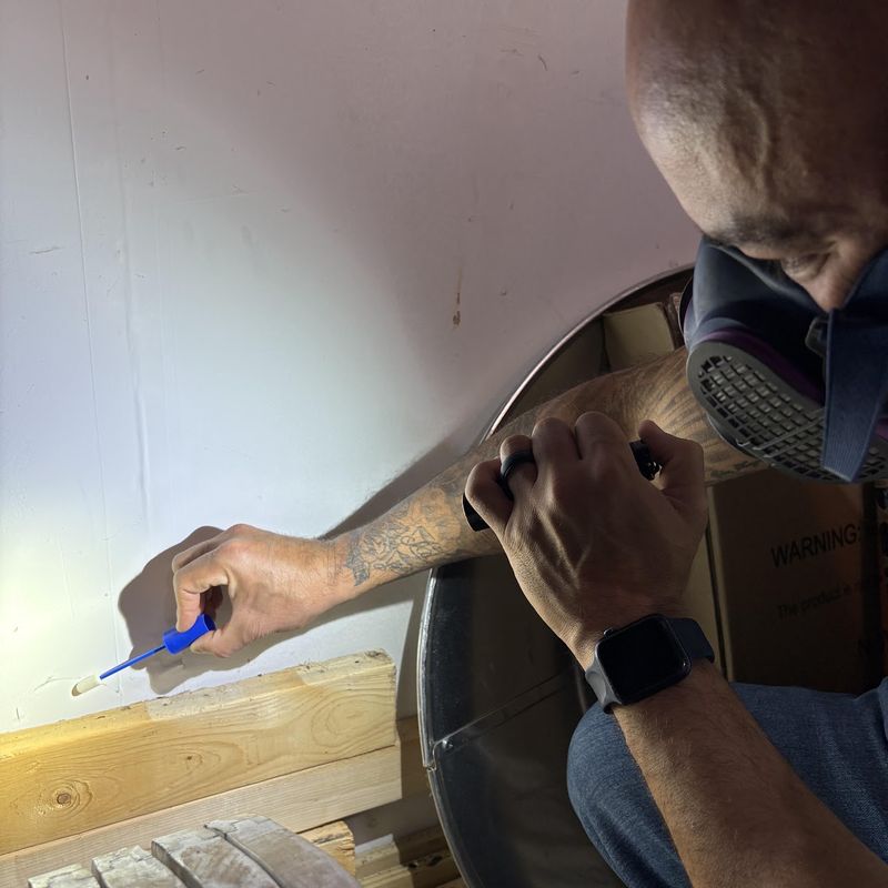 Mold Testing
