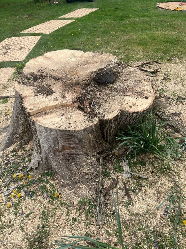 Stump Removal