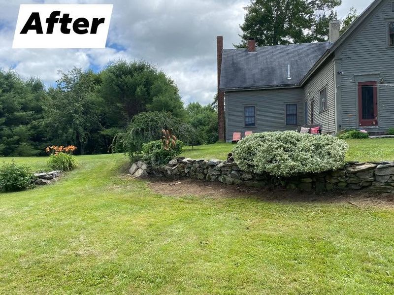 Hedge Trimming & Shrub/Bush Services