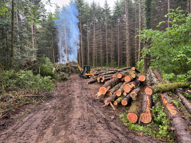 Land Clearing