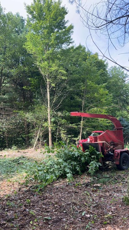 Land clearing
