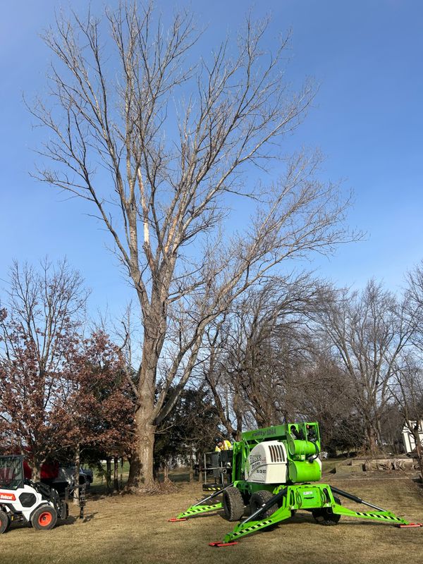Revitalizing Freeport: Successful Hazard Removal and Eco-Friendly Clean-Up by Fransen's Tree Service