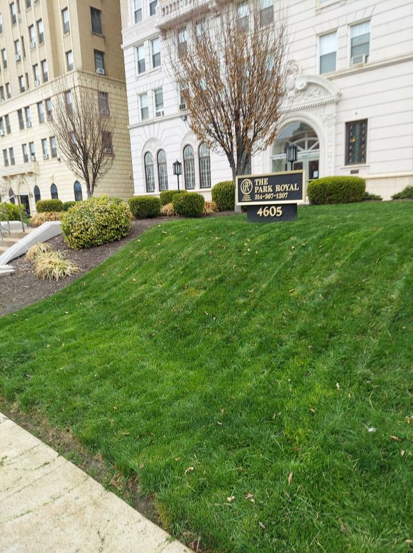 landscaping