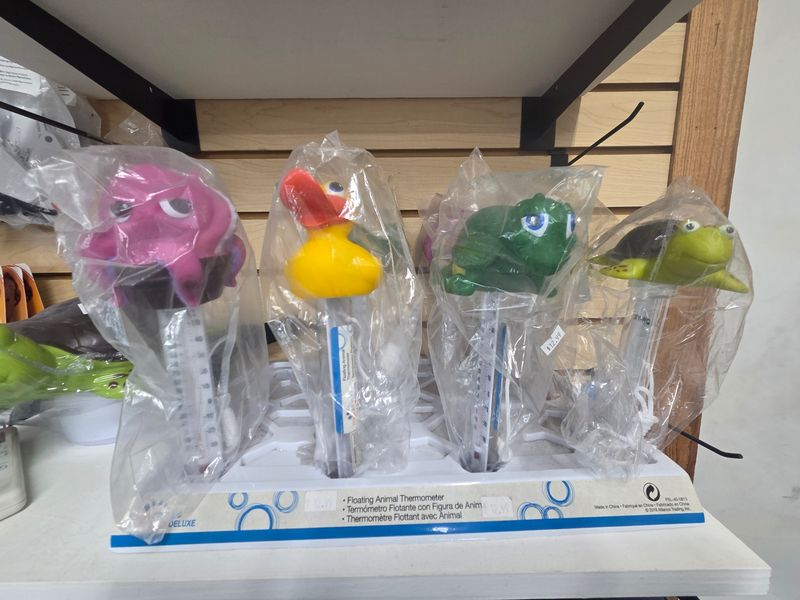 Pool Supplies