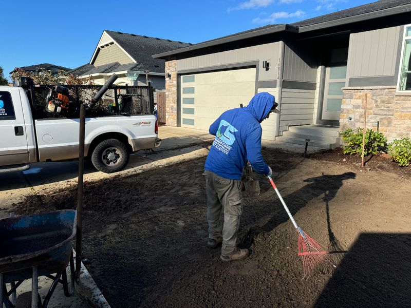 Lawn Aeration