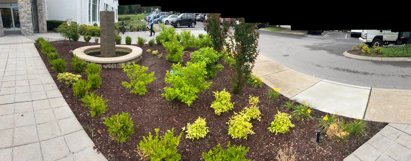 Mulch Installation