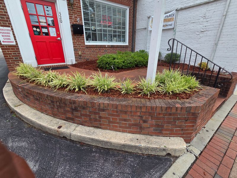 Walkway and driveway cleanup