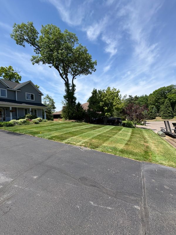 Lawn Maintenance