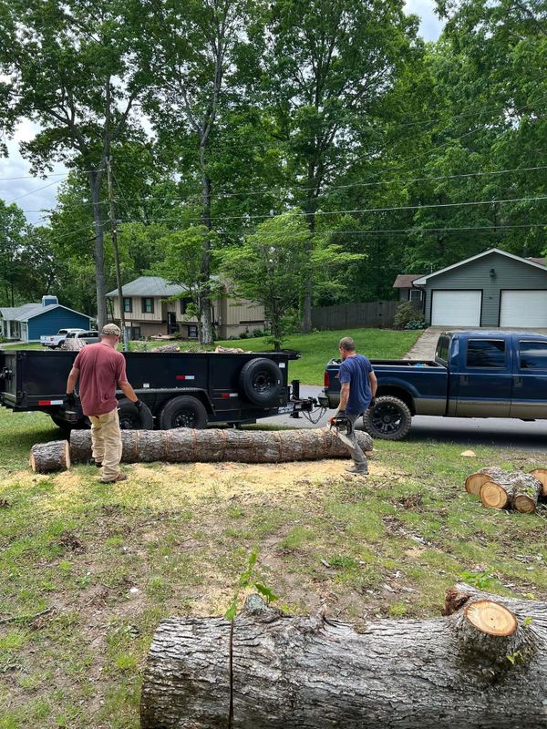 Stump Removal
