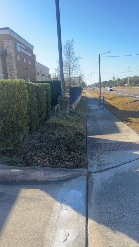 Lawn & Garden Services