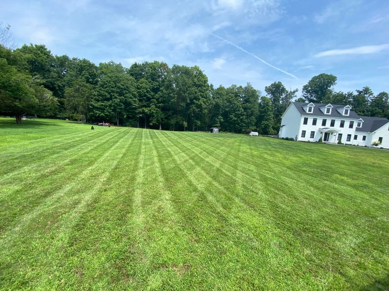 Lawn Maintenance