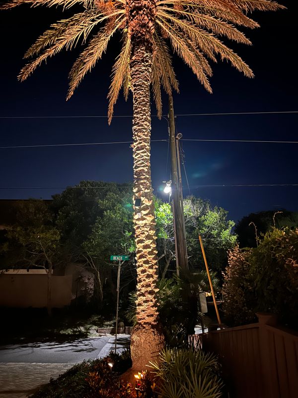 Landscape Lighting 