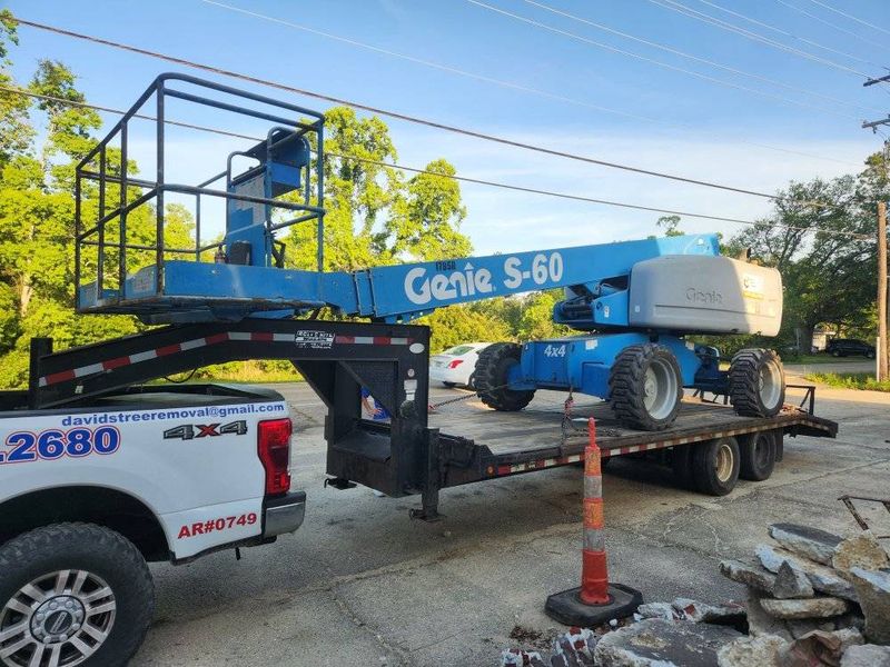 Tree Removal gallery