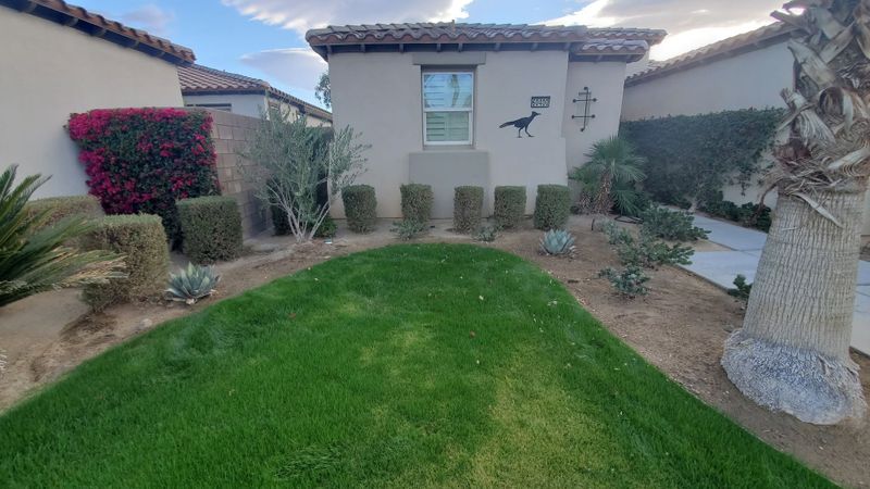 Landscape Design Consultation