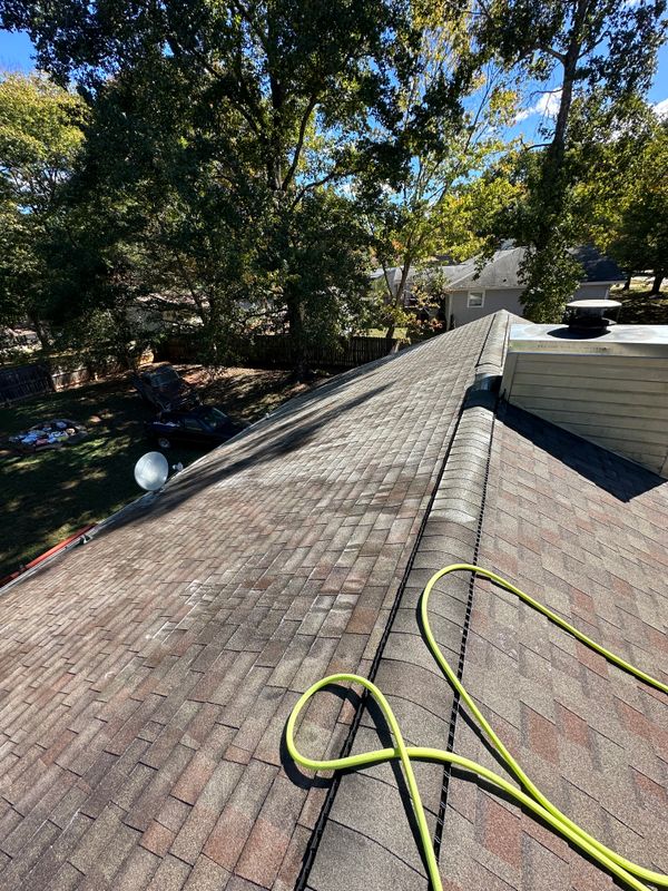 Roof Cleaning