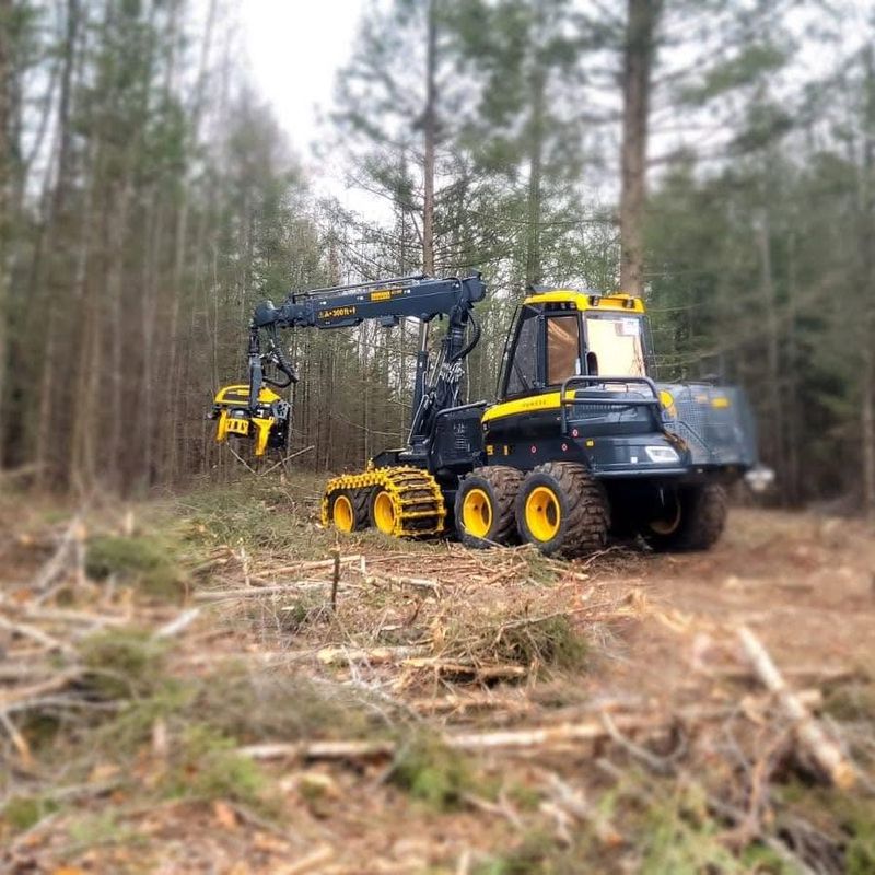 Timber Harevsting