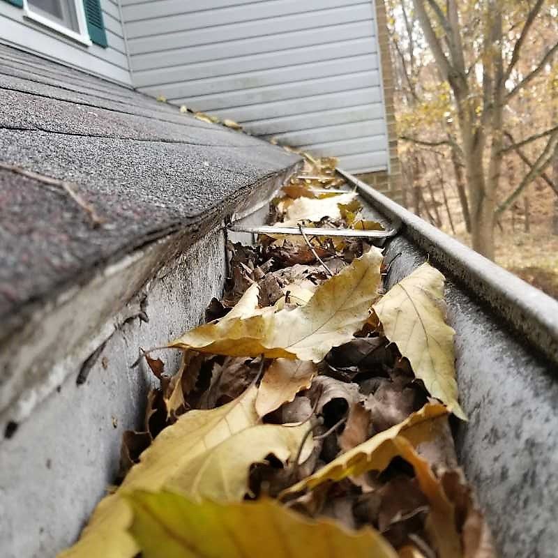 Gutter Cleaning