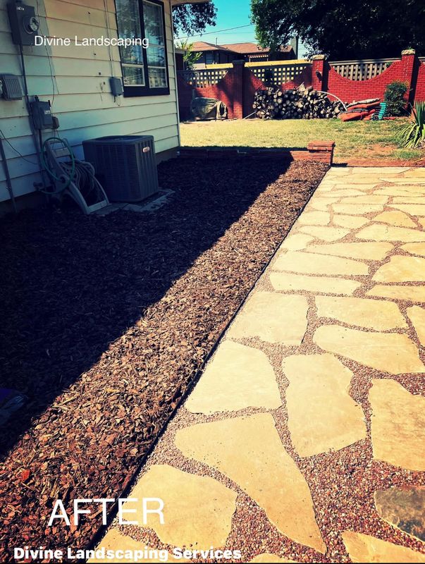 Xeriscapes 