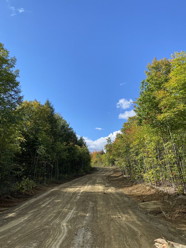 Land Clearing & Forestry Mulching