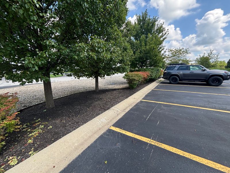 Landscaping and Irrigation Systems Repair