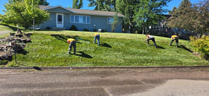 Lawn Maintenance