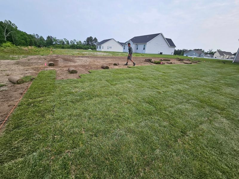 Lawn Maintenance