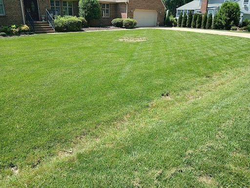 Mowing