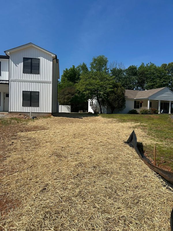 Transforming Lynch Street: Site Solutions' Sustainable Land Management in Williamsburg, NY