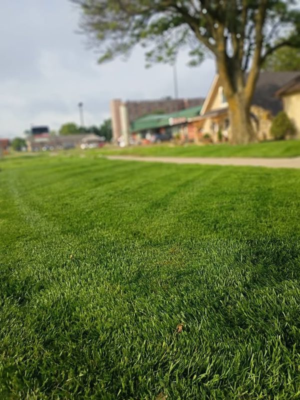 Commercial Landscaping & Lawncare