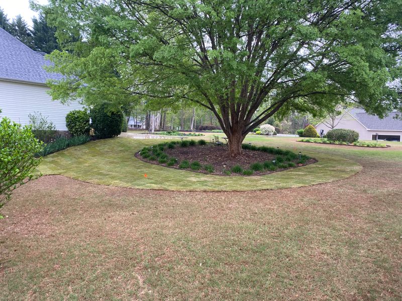 Sod Installation