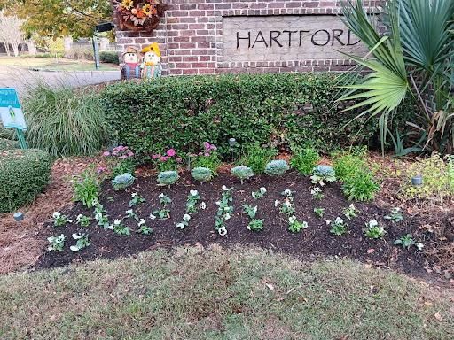 Shrub Trimming