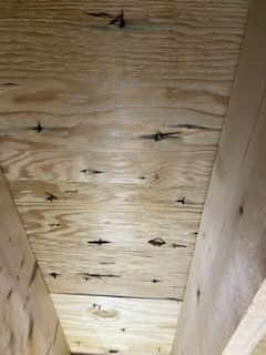 Chatham Attic Removal: Expert Mold Remediation by EFG Cleaning and Restoration
